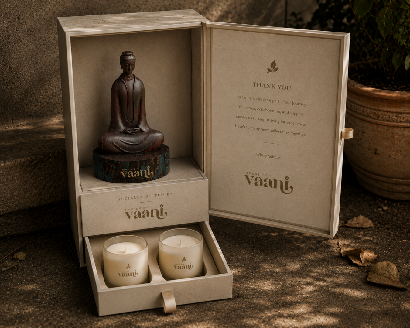 Vaani product 2